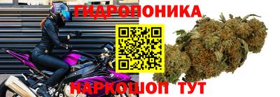 эйфоретик Гусиноозёрск