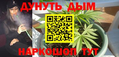 spice Гусев